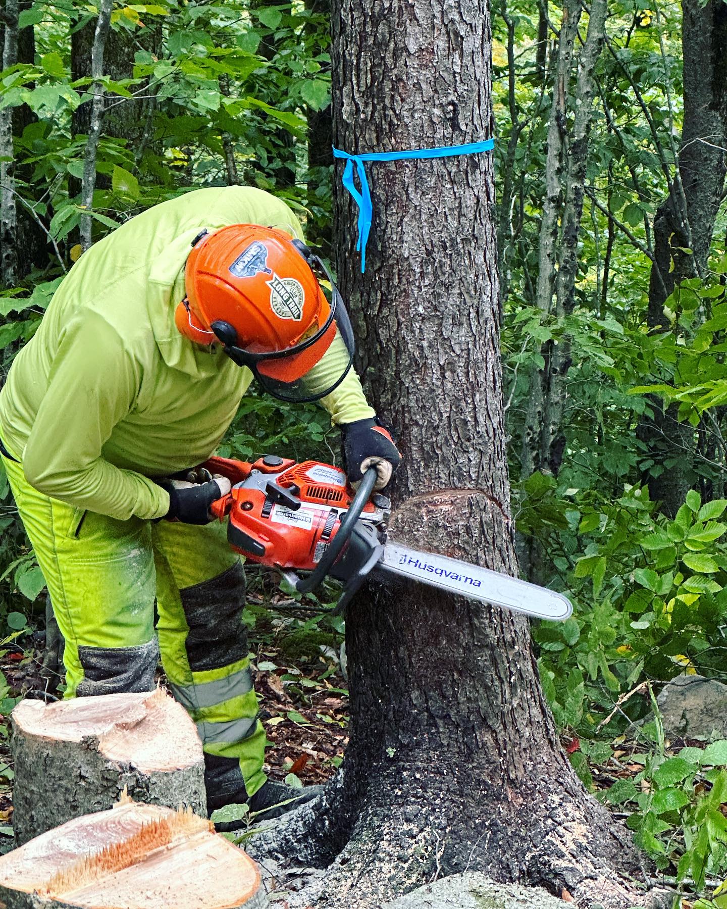 GMC-2023-chainsaw-work.jpg